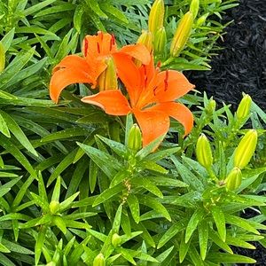 Reasonable Offers Accepted